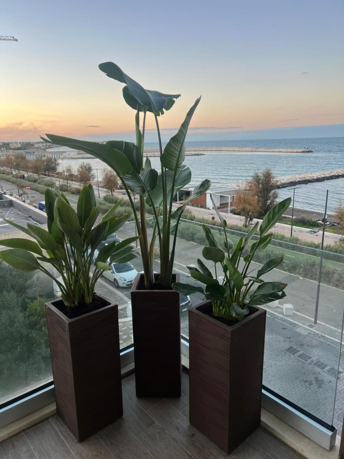 Dimora Giabi Sea View